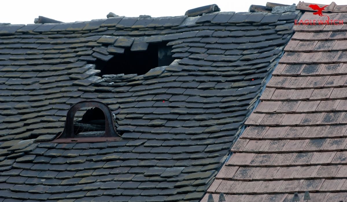 Common Culprits Behind Roof Failure