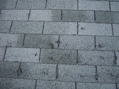hail-damage-shingle-repair