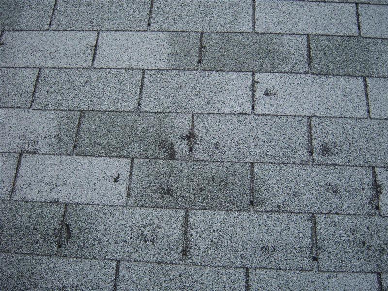 Finding Shingle Roof’s Repair For Hail Damage