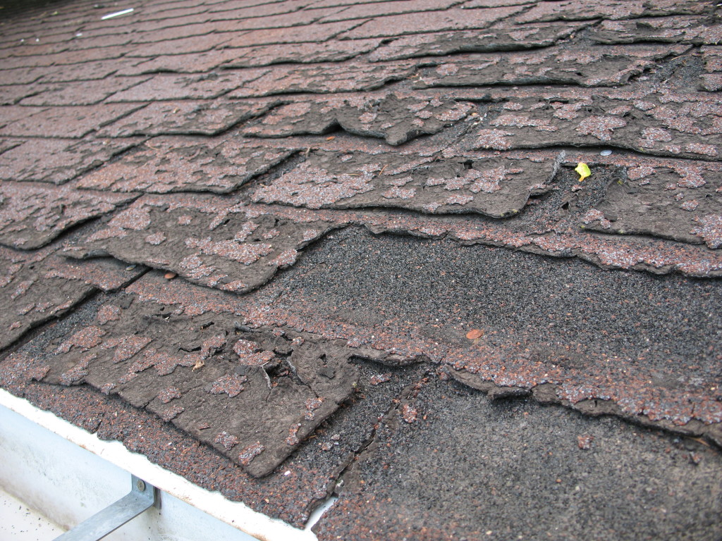 The Most Common Causes Of Roof Damage Eagle Watch Roofing