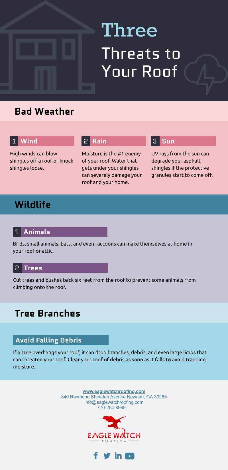 Three Threats to Your Roof [infographic]