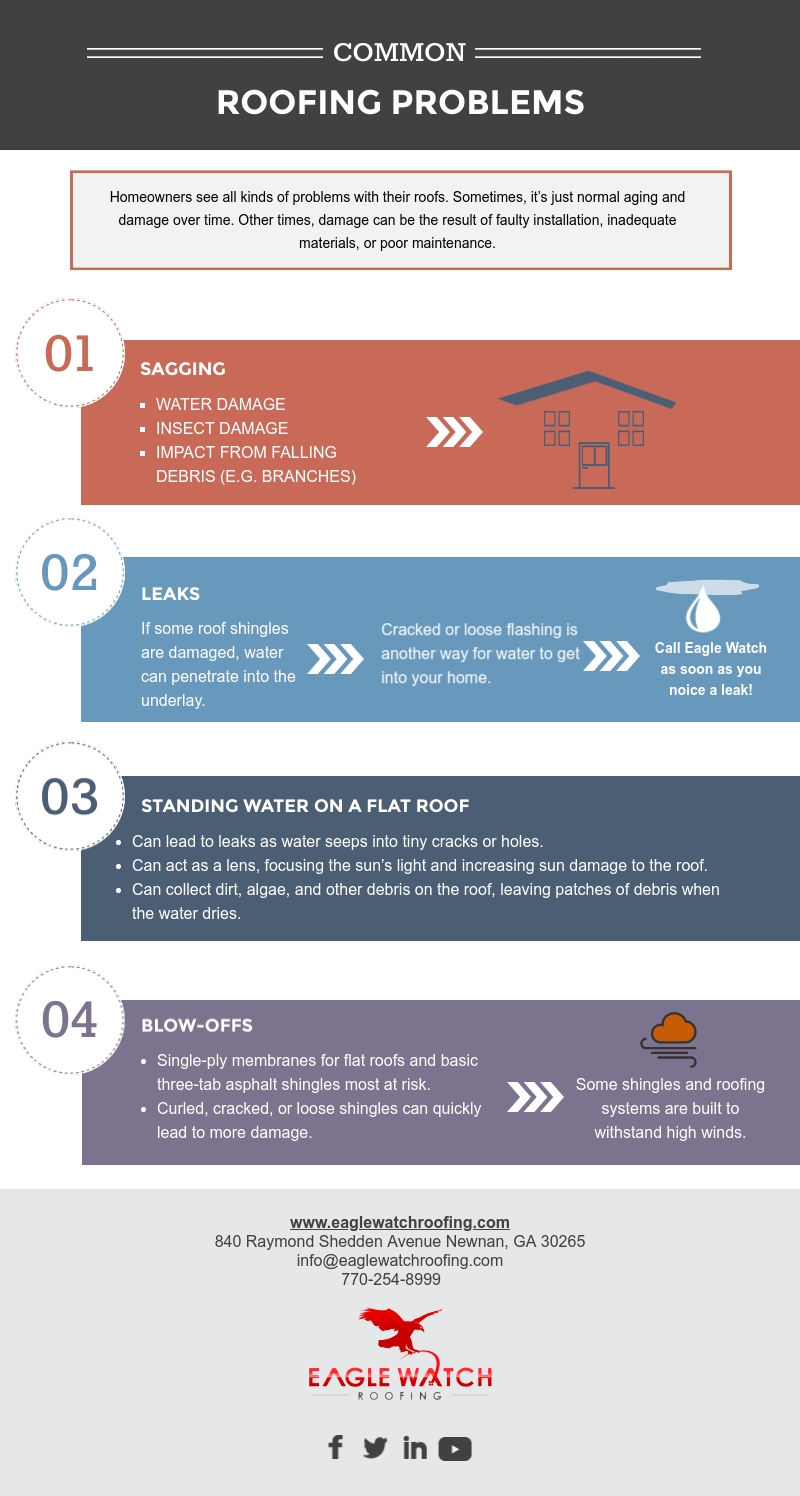 Common Roofing Problems [infographic]