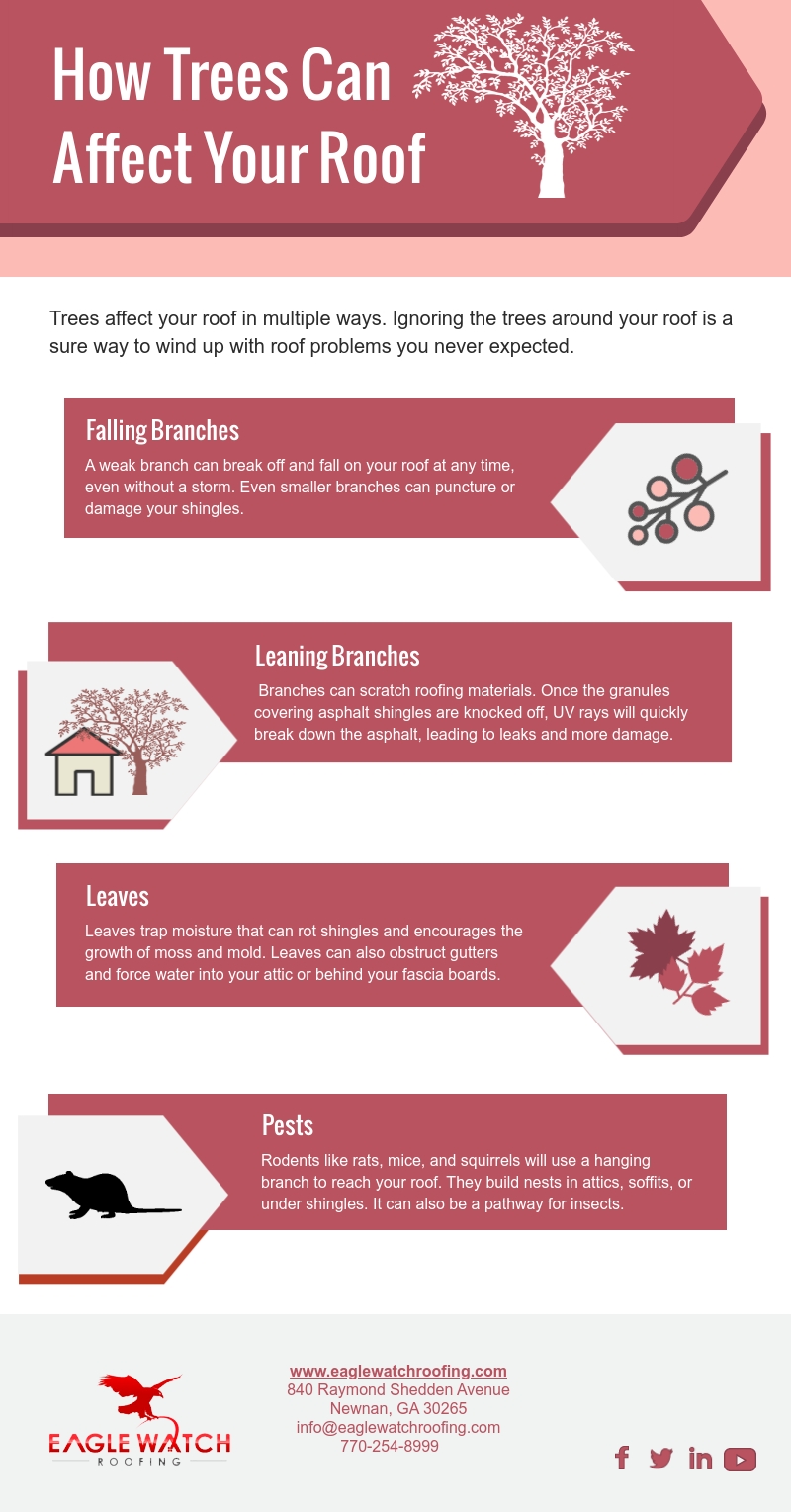 How Trees Can Affect Your Roof [infographic]