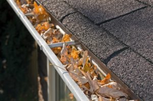 "Clogged gutters can spell trouble for your roof"