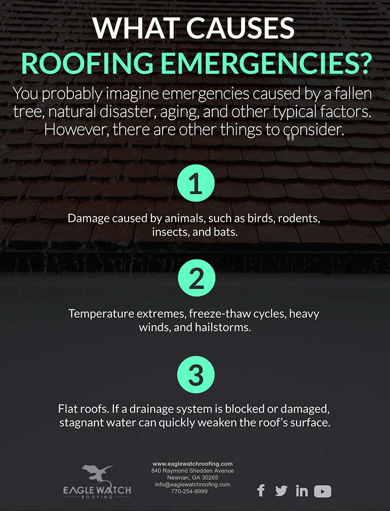 Causes and Dangers of Roofing Emergencies [infographic]