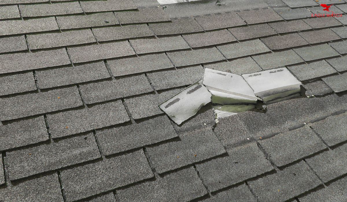Roof Replacement Cost 