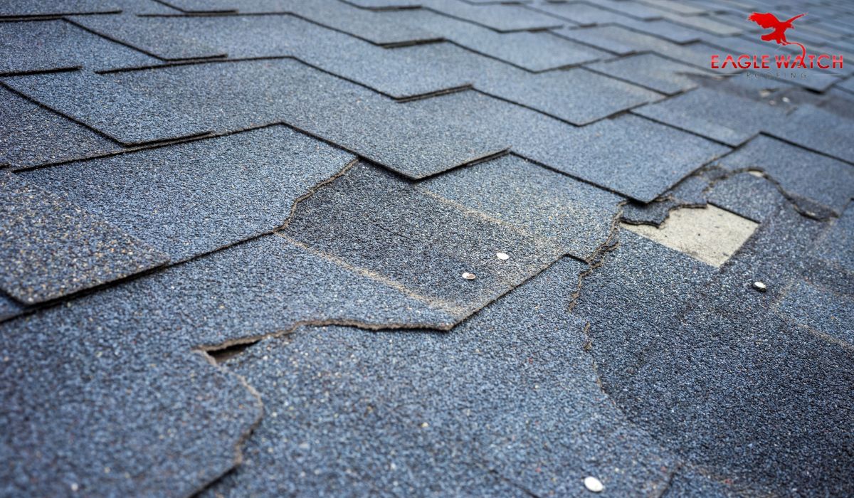 Architectural Shingles Cost