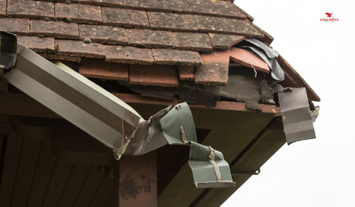 Roof Damage Repair in Newnan
