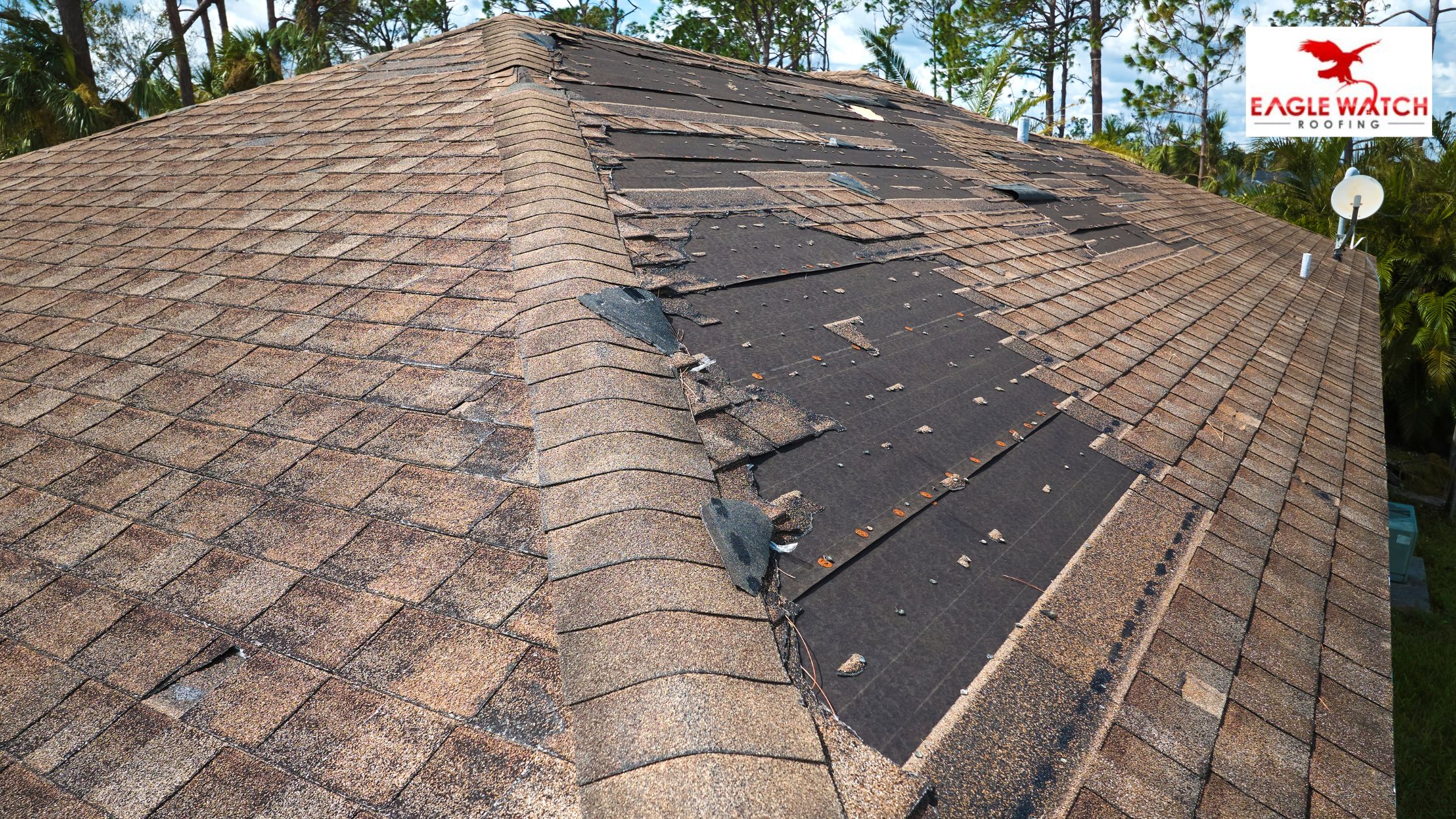 Accurate Roof Damage Assessment