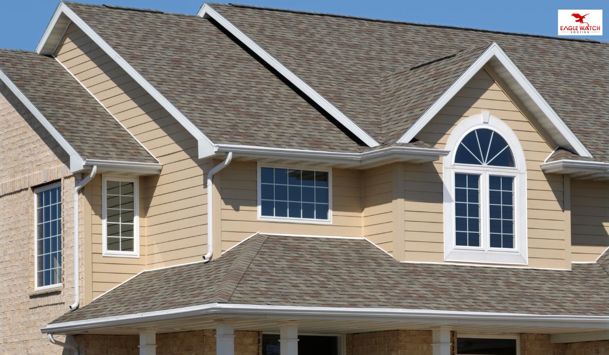 Shingle Roof