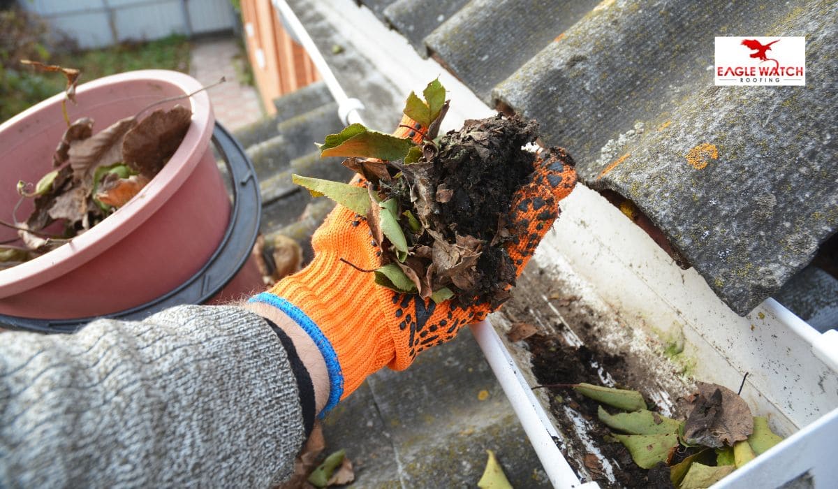 Gutter Repair Services