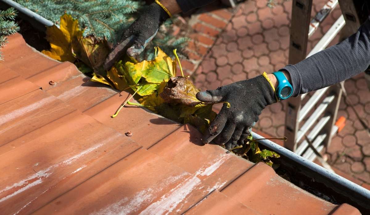 Excessive Granules in Gutters