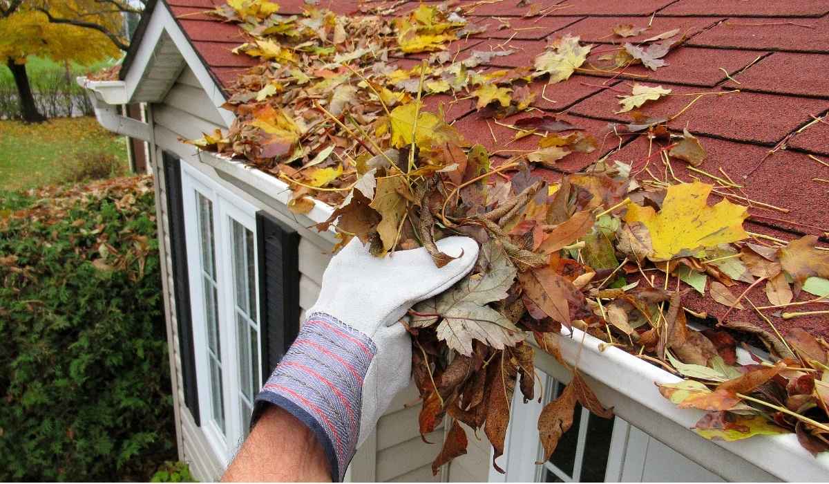 Remove Roof Debris