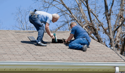 roof repair in Newnan due to algae and moss affecting asphalt shingles