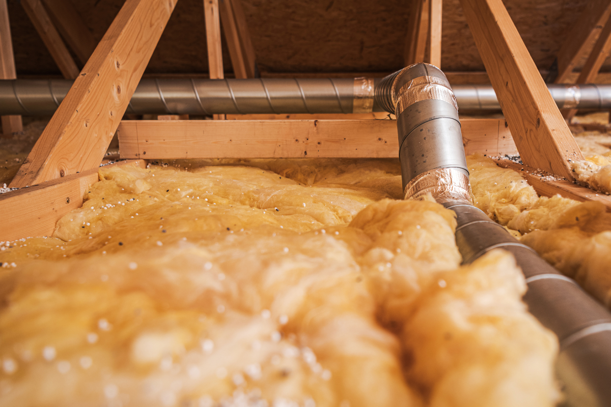 Visible mold in attic spaces
